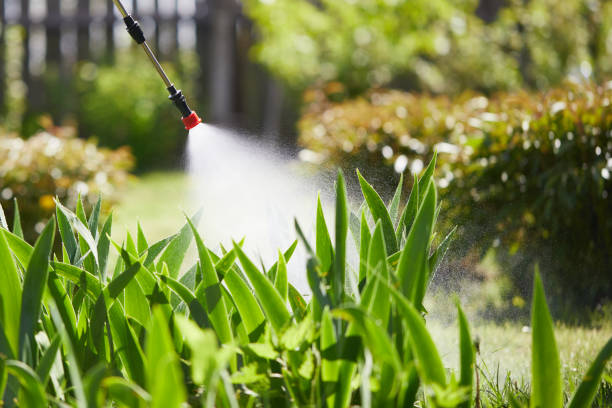 24/7 Emergency Mosquito Control experts in Kalifornsky, AK